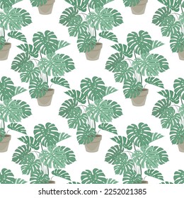 seamless pattern of decorative houseplants isolated on white background, monstera growing in pot. beautiful natural home decorations on white background. Vector illustration