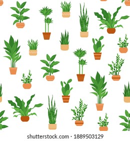 Seamless pattern of decorative indoor plants grown in pots. Beautiful evergreen home decorations. Vector illustrations for wrapping paper, wallpaper, textiles, bedding, print for clothes.