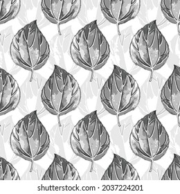 Seamless pattern with decorative leaves of the arrowroot flower. grey leaves of tropical . Continuous floral pattern. leaf pattern background.