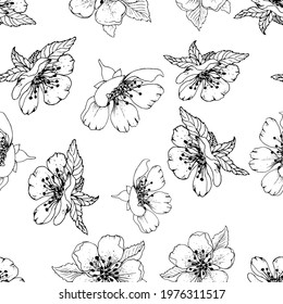 Seamless pattern with decorative leaves isolated on white. Twig with leaves, black lines. Vector delicate background.