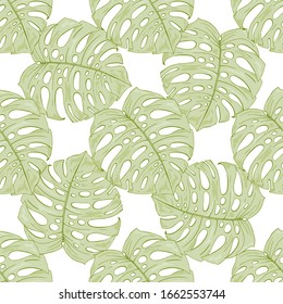 Seamless pattern with decorative leaves of monstera creeper. Green carved leaves in tropical Silva. Continuous pattern with floral elements. Endless texture. For a different design.