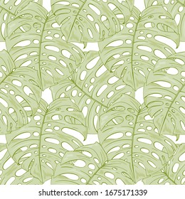 Patrón inexpresivo con hojas decorativas de monstera barrendero. Hojas esculpidas verdes en el Silva tropical. Patrón continuo con elementos florales. Textura sin fin. Para un diseño diferente.
