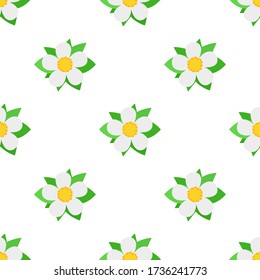 Seamless pattern with decorative strawberry flowers on white background. Vector illustration for any design.