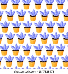 Seamless pattern with decorative succulent plants growing in pot - flat vector illustration