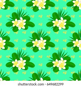 Seamless pattern with decorative summer plumeria flowers on a green background, watercolor vector illustration.