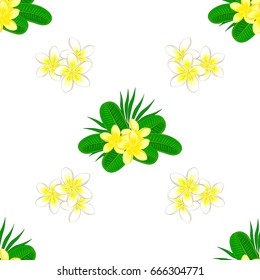 Seamless pattern with decorative summer plumeria flowers on a white background, watercolor vector illustration.