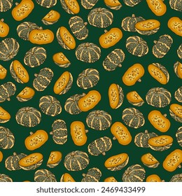 Seamless pattern with Delica Winter Squash  or pumpkin Courge Delica Moretti. Cucurbita maxima. Vegetables. Isolated vector illustration.