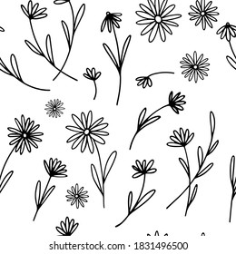 Seamless pattern with delicate daisies, wildflowers in line style. Daisy flowers on the field. Floral pattern with small rustic flowers. Elegant Blooming Botanical hand drawn background.