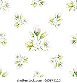 Seamless pattern of delicate sketch colorful bouquet of flowers on a white background