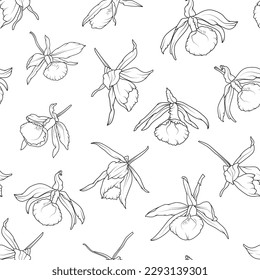 Seamless pattern with dendrobium orchid flowers isolated on white. Vector delicate black and white background.