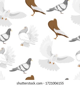 Seamless pattern depicting pigeons. Vector stock illustration. Cute, colorful. Cartoon style on a white background.