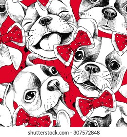 Seamless pattern depicting portraits of French Bulldog and tie. Vector illustration.