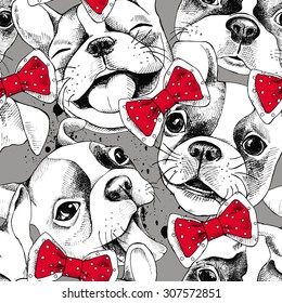 Seamless pattern depicting portraits of French Bulldog and tie. Vector illustration.