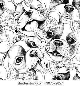 Seamless pattern depicting portraits of French Bulldog and tie. Vector illustration.