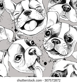 Seamless pattern depicting portraits of the French Bulldog. Vector black and white illustration.