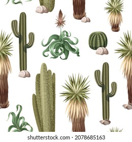 Seamless pattern with desert cactus. Vector