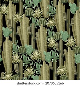 Seamless pattern with desert cactus. Vector