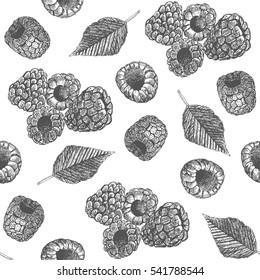 Seamless pattern design or background with raspberry. Hand drawn illustration by ink and pen sketch set. Elements include drawing and their own background shape.