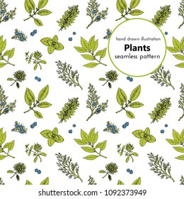seamless pattern for the design. vector hand drawn graphical illustrations with plants and spices.