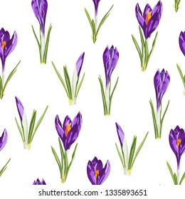 Seamless pattern for design with violet crocus spring flowers on white background.