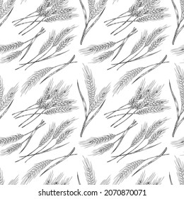 Seamless pattern design with wheat plants, hand drawn engraving vector illustration on white background. Decorative texture with wheat for bakery and bread wrapping.