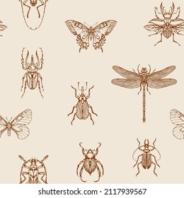 Patrón sin foco con dibujos detallados de contorno marrón de varios insectos. Fondo vectorial dibujado a mano con mariposas, escarabajos, libélula sobre papel antiguo. Papel de paredes de estilo retro, papel de envoltura, tela