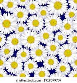 Seamless pattern with detailed vector illustrations of closely packed daisy blooms on a navy blue background.