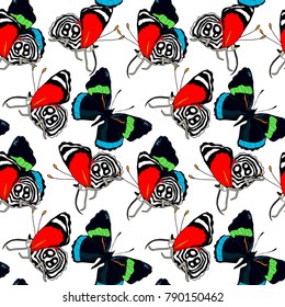 seamless pattern Diaethria clymena Butterfly  vector illustration