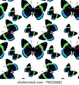 seamless pattern with Diaethria clymena Butterfly  vector illustration