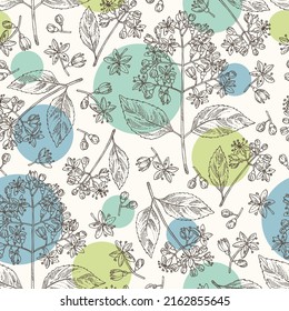 Seamless pattern with dichroa febrifuga lour: dichroa plant, leaves and dichroa febrifuga flowers. Cosmetic, perfumery and medical plant. Vector hand drawn illustration.