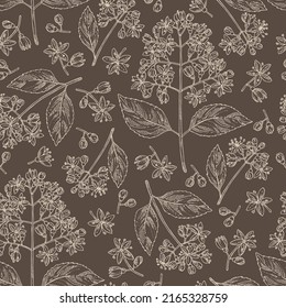 Seamless pattern with dichroa febrifuga lour: dichroa plant, leaves and dichroa febrifuga flowers. Cosmetic, perfumery and medical plant. Vector hand drawn illustration.