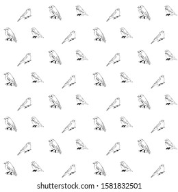 seamless pattern. different birds on a branch. vector illustration