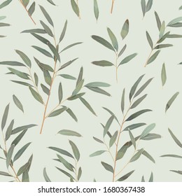 Seamless pattern with different branches of Eucalyptus radiata on a light green background. Vector illustration of greenery, foliage and natural leaves.  Template for floral textile design