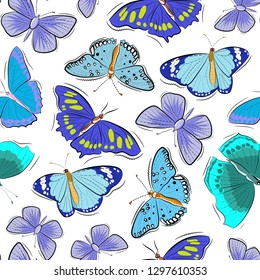 Seamless pattern of different butterflies in blue on white background