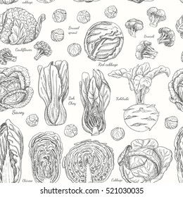 Seamless pattern with different cabbages. Vector illustration for your design