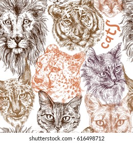 Seamless pattern with different cats. Lion, tiger, cat, lynx, cheetah, leopard, panther. Drawing by hand. Sketch style/