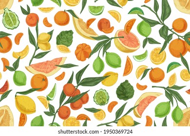 Seamless pattern with different citrus fruits on white background. Hand-drawn endless texture with oranges, lemons, tangerines, bergamot and grapefruits. Colored vector illustration for printing