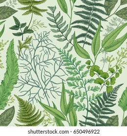 Seamless pattern with different ferns and leaves.  Vintage floral background.  Botanical illustration. 