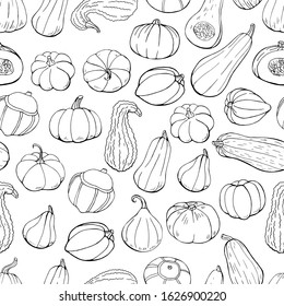 Seamless pattern with different hand drawn outline squashes. Endless texture with black and white contour vegetables for your design