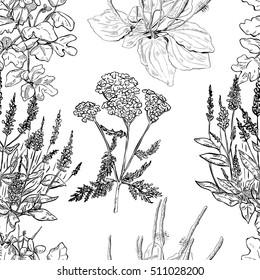 Seamless pattern with different herbs, monochrome