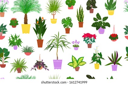 Seamless pattern from different house plants in colorful flower pots. Vector illustration.