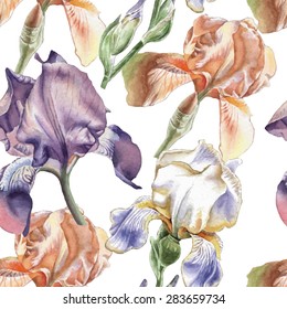 Seamless pattern with different irises. Watercolor. Vector. Hand drawn.