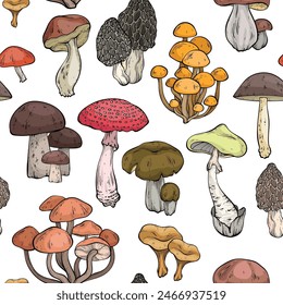 Seamless pattern with different mushrooms, graphic drawing, cut truffle, porcini mushroom, shiitake and chanterelles isolated. Vector illustration