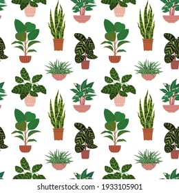 Seamless pattern from different potted house plants in colorful flower pots. Snake plant, calathea and ficus. On a white background. Vector illustration.