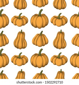 Seamless pattern of different shape and color pumpkin, cartoon style vector illustration isolated on white for autumn decoration