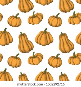 Seamless pattern of different shape and color pumpkin, cartoon style vector illustration isolated on white for autumn decoration