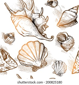 Seamless pattern from of different shapes shell  sketches 