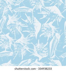 Seamless pattern with different shells. Vector. Hand drawn.