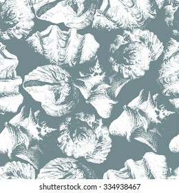 Seamless pattern with different shells. Vector. Hand drawn.