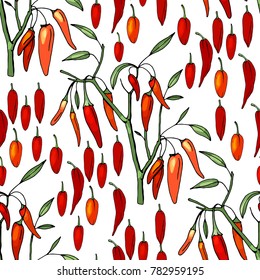 Seamless pattern with different sorts of pepper on white. 